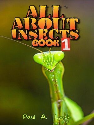 cover image of All About Insects